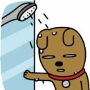 하얀풍차제과 - 수원시 영통구 영통로 195 | 하얀풍차제과