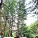 수동쉼터 이미지