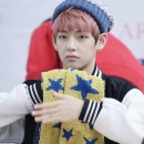 태형수지 이미지