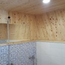 미산애견 이미지