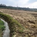 금천1리마을회관 이미지