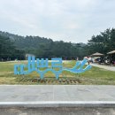 정아민박