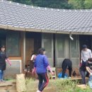 세대청소 작은뉴스