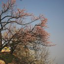 이정규
