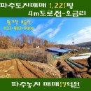 낙하목장 이미지