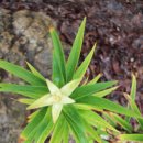 장령산 가든 이미지