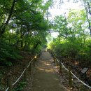 개화산 자락길 이미지