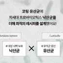 초이커머스 네이버블로그