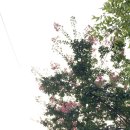 백년지기한의원 이미지