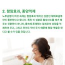 궁댕이