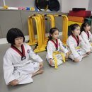 채움태권도장 이미지