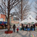 21.은행나무길(경제진흥원) 이미지