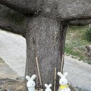 카페게이트화순광덕점 | 전남 화순 주차 편한 뷰 좋은 카페 카페게이트 화순안양산점
