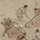 성호농장 이미지