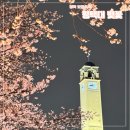 (주)유로트럭모터스 | 평택 봄에 가볼 만한 곳 평택대 벚꽃축제 포토스팟,주차,푸드트럭 후기