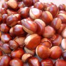 용기네 농장 이미지