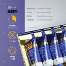 에이알에프