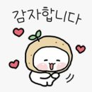 쿠미잡화점