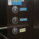 우성스마트사우나 이미지