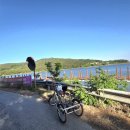 수림 농장 이미지