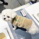 광산구-106 | 광산구 족욕 가온힐링 수완 온열 족욕 1인 방문 후기