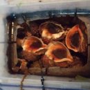 만통(주) 이미지