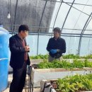 정착농장 이미지