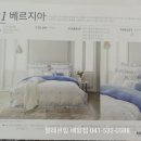 알레르망배방점