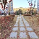 도담동_양지고등학교 네이버블로그