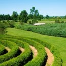 풍림농원 이미지