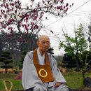 원불교역사박물관 이미지