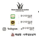 후니네작은카페 이미지