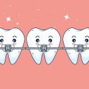 본치과교정과치과의원 이미지