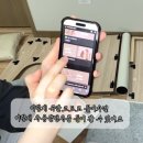 펫제제(PET JEJE) | ★ 제제남매의 [ 세이펫 - 시즈 시크래쳐 N1 ] 사용후기 ★
