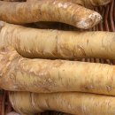horseradish &amp; wasabi 차이점? 이미지