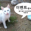 교동백작