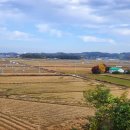 당진포1리 이미지