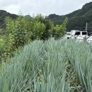 인제로L 이미지