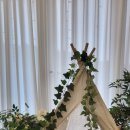 푸바오애견 이미지