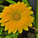 중계근린공원 이미지