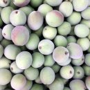 건강의향기 이미지