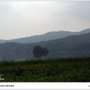 마차다방 Daum카페