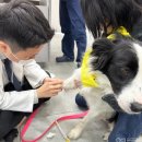 범어동물병원 이미지