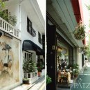 신사동-13 이미지