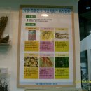 약초약국 이미지