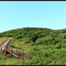 대붕초등학교 이미지