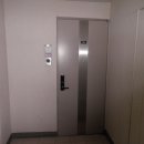 진해대로-3 이미지