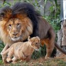 평화로운가족 이미지