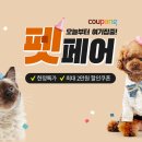 웰빙펫 | 쿠팡 펫페어 개최! 반려동물을 위한 특별한 쇼핑 축제 🐶🐱🎉