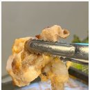 피그가든 이미지